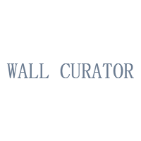 WALL CURATOR LTD